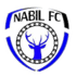 Nabil FC Pelalawan 队徽